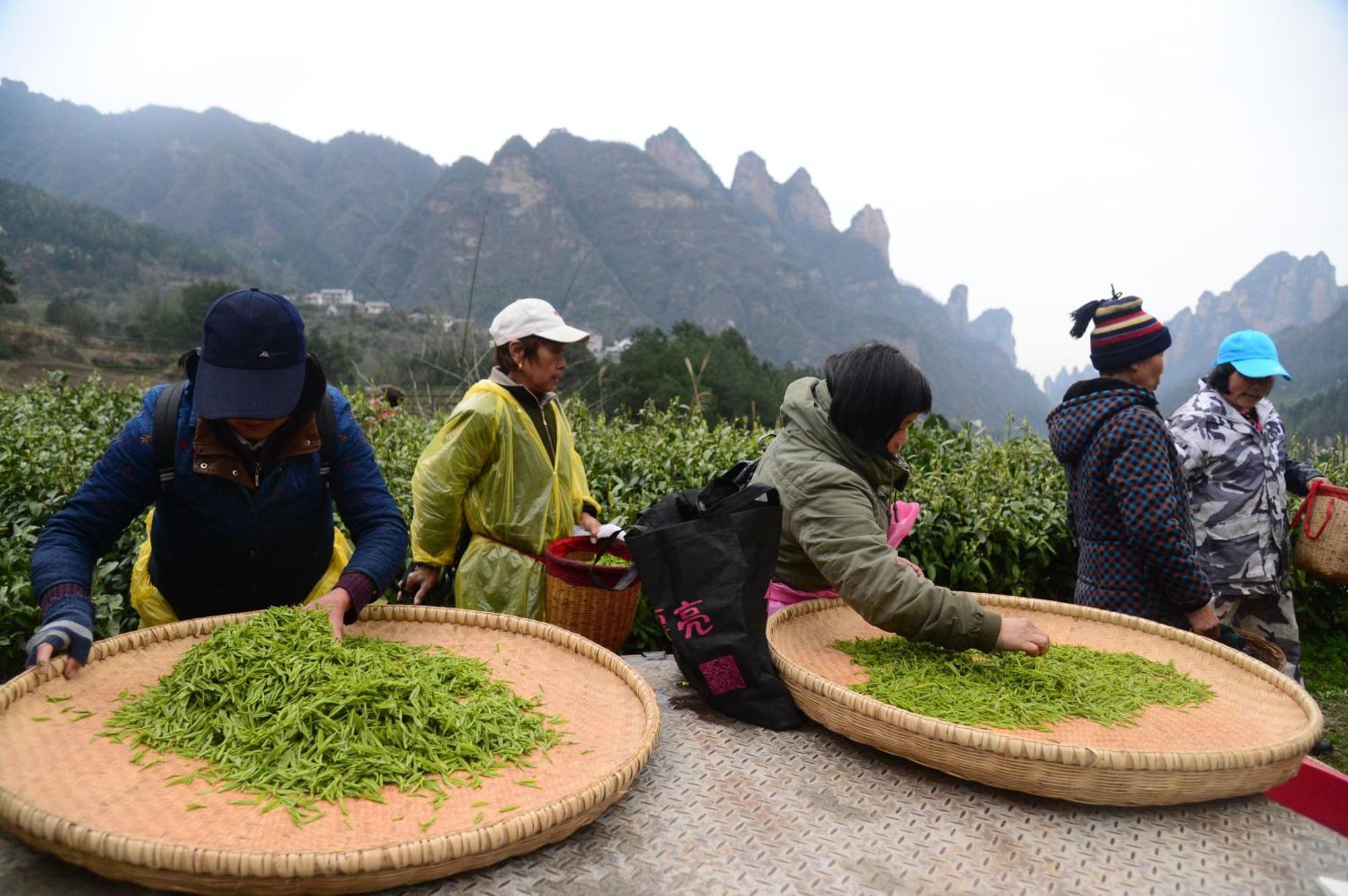 Breeze & Alley Inn--Tianmenshan Cableway-English Reception-Tourism Planing 張家界市 エクステリア 写真