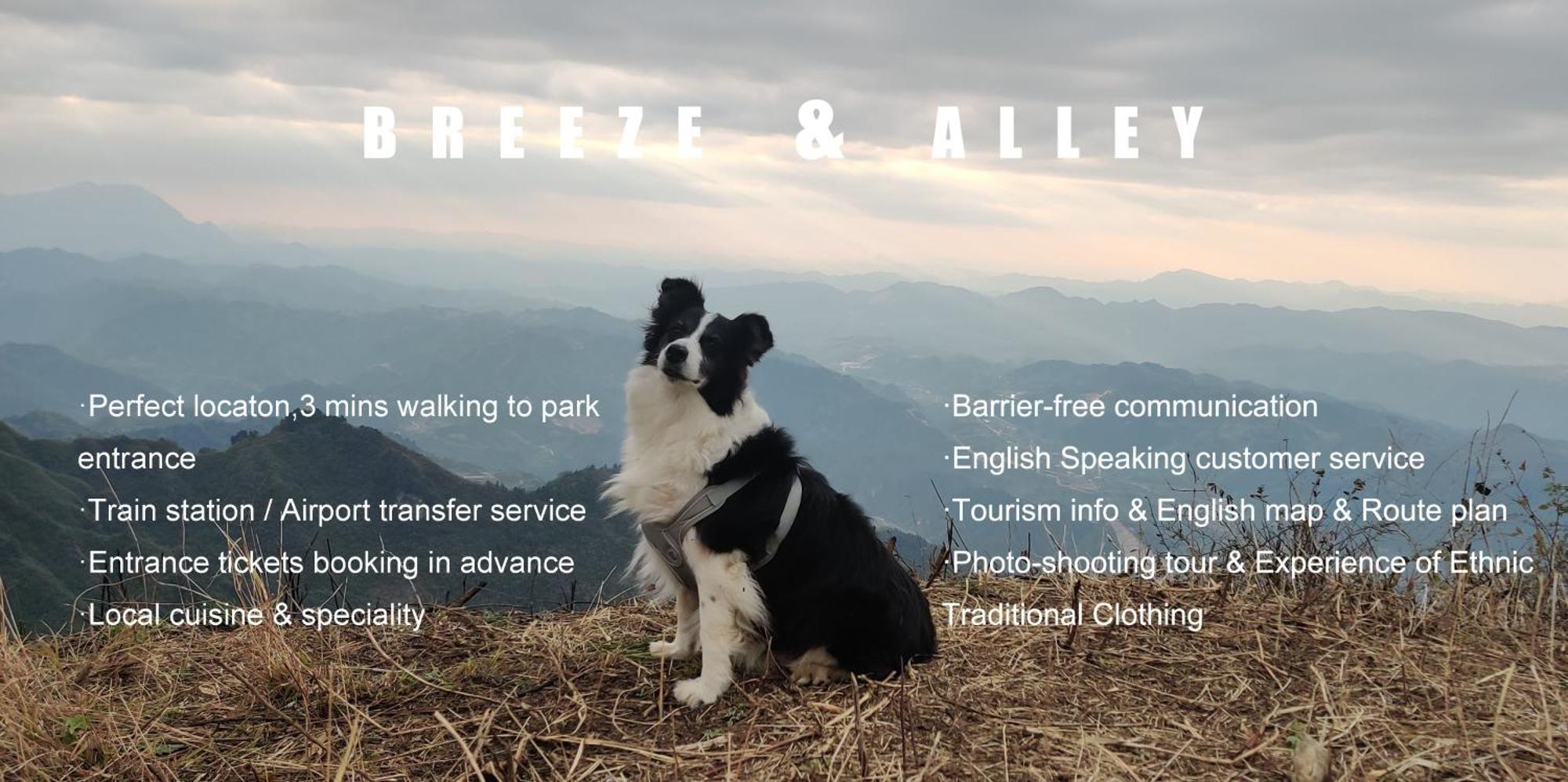 Breeze & Alley Inn--Tianmenshan Cableway-English Reception-Tourism Planing 張家界市 エクステリア 写真