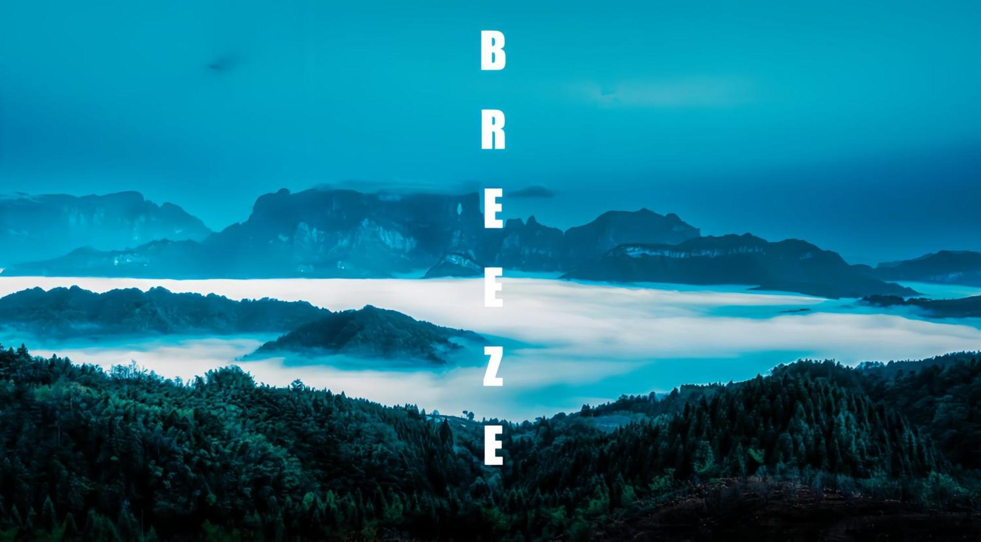 Breeze & Alley Inn--Tianmenshan Cableway-English Reception-Tourism Planing 張家界市 エクステリア 写真