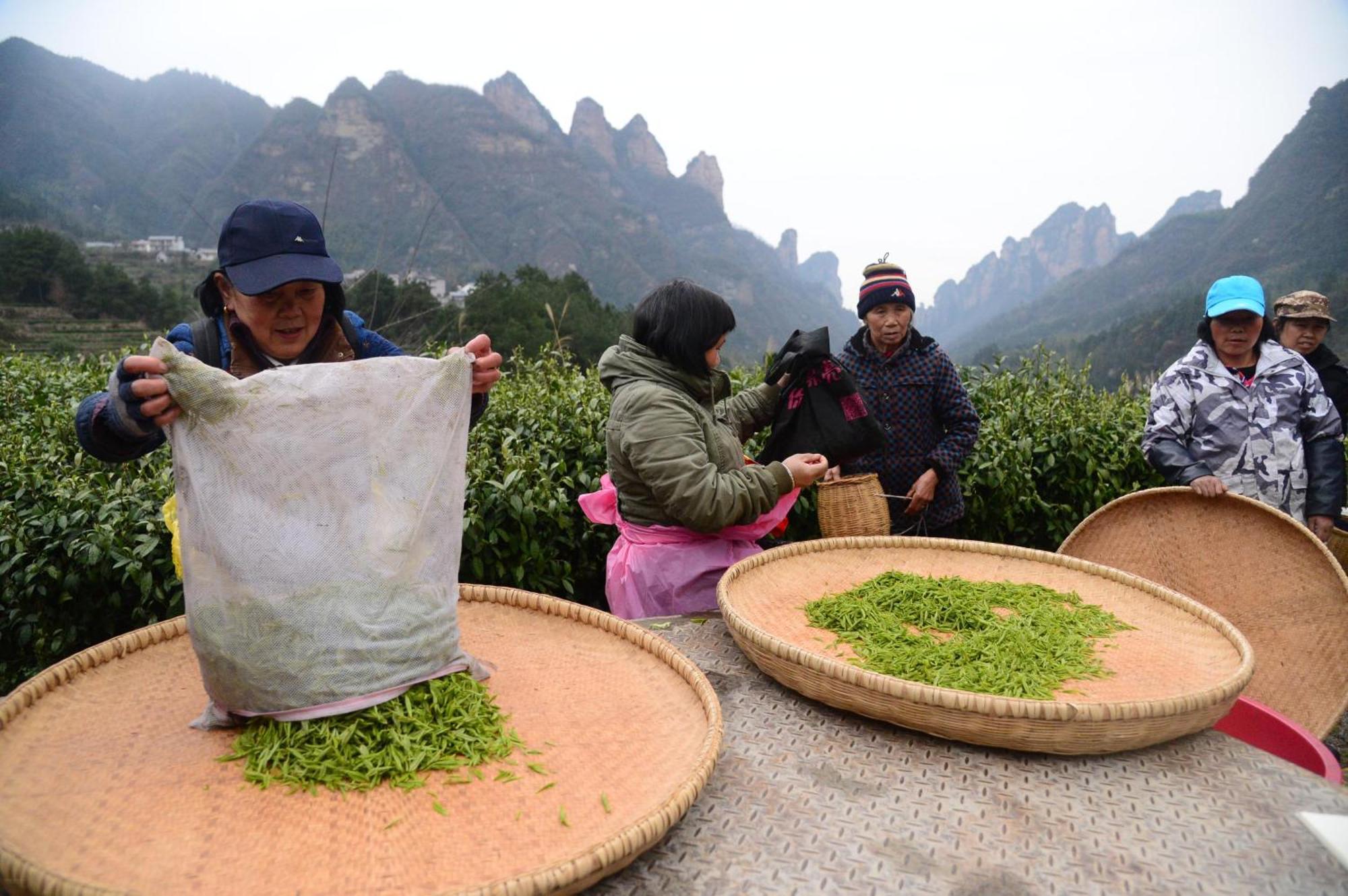 Breeze & Alley Inn--Tianmenshan Cableway-English Reception-Tourism Planing 張家界市 エクステリア 写真